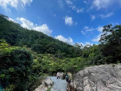 -东莞市大岭山森林公园