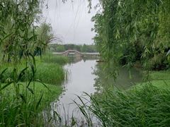-洋湖国家湿地公园