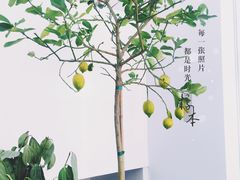 -青梅酒肆PLUS(长白仙岛北路店)