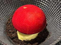 -菌自由丨野生菌火锅特色庭院餐厅(丽江古城店)