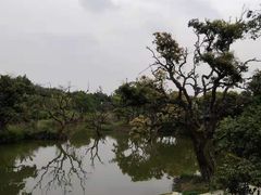 -鹤之洲湿地公园