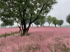 -汉长安城未央宫国家考古遗址公园