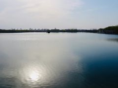 景点-大兴滨河森林公园