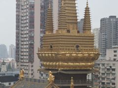 -上海久光百货