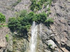 -上海辰山植物园