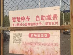 -顾村公园3号门停车场