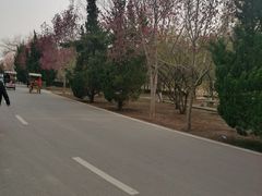 -石家庄市植物园
