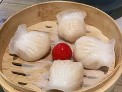 水晶虾饺-茶港·点心·啫啫煲(范湖万达广场店)