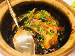 砂锅碟鱼头-甄御•海鲜新青岛菜(麦岛店)