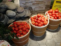 -蕃茄述·好汤自然来(江汉路店)