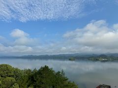 -浔味·山屿湖·正宗淳牌全鱼宴老字号
