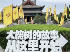 -大槐树寻根祭祖园