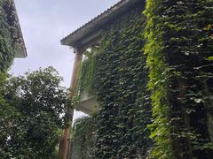 -广悦华阳朔河畔度假酒店(十里画廊遇龙河店)