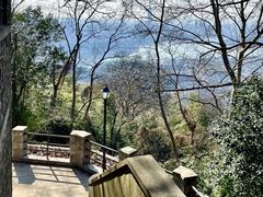 -紫金山山顶公园