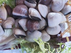 -马家斑.鲜鱼火锅(松湖万科店)