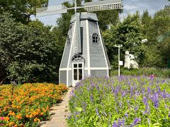 -黑龙江省森林植物园