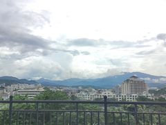 -翡翠老鸭店