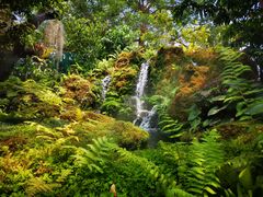 -Chom Cafe and Restaurant