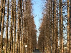 -南北湖风景区