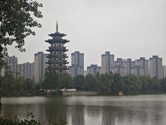 -洋湖国家湿地公园