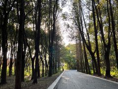 -同里国家湿地公园