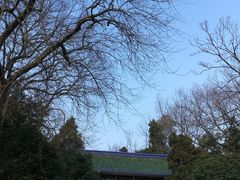-灵谷景区