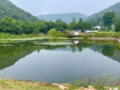 -老山国家森林公园