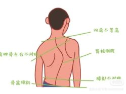 -卡莫瑜伽·普拉提