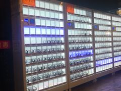 -枫花园汽车电影院(朝阳公园店)