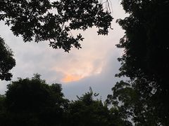 -广州市白云山风景名胜区