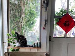 -海边的猫和咖啡馆