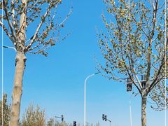 -水西公园