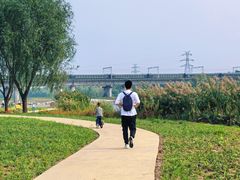 -永定河休闲森林公园