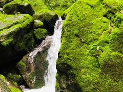 -藏龙百瀑风景区