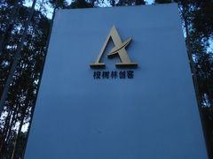 -桉树林A coffee 森林餐厅(三圣乡店)