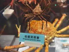 -天津自然博物馆