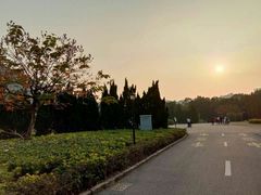 -南沙蒲洲花园