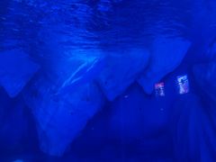 -上海海昌海洋公园-冰山北极馆