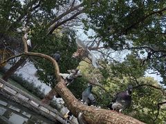 -西园戒幢律寺