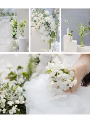 -金禧婚礼定制