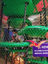 -恐龙探索乐园(磁器口店)