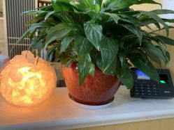 -WENDY·温迪皮肤管理