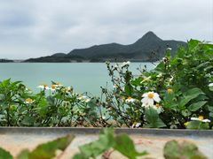-梅沙尖