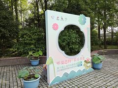 -陈家山荷花公园