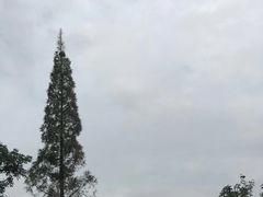 -张坝桂圆林公园