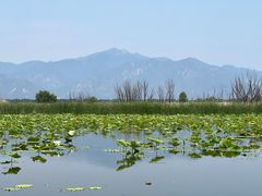 -野鸭湖国家湿地公园