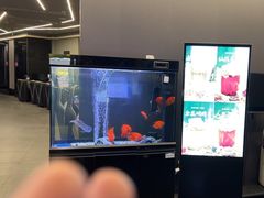 -蓝猫电竞网咖(川大店)