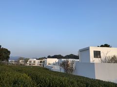 -龙坞茶村