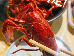 精品潜江油焖小龙虾-小田油焖小龙虾(双井店)