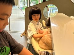 -飞行喵MR PILOT|猫舍·猫咖(静安大融城店)